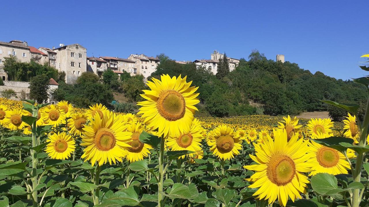 Hotel Saint Laurans Aurignac  ภายนอก รูปภาพ